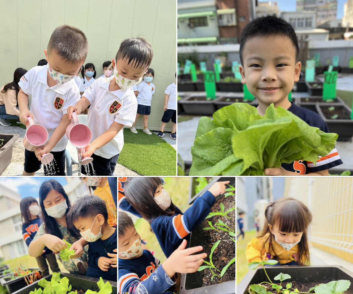 截圖 2022-11-08 下午2.34.49.png